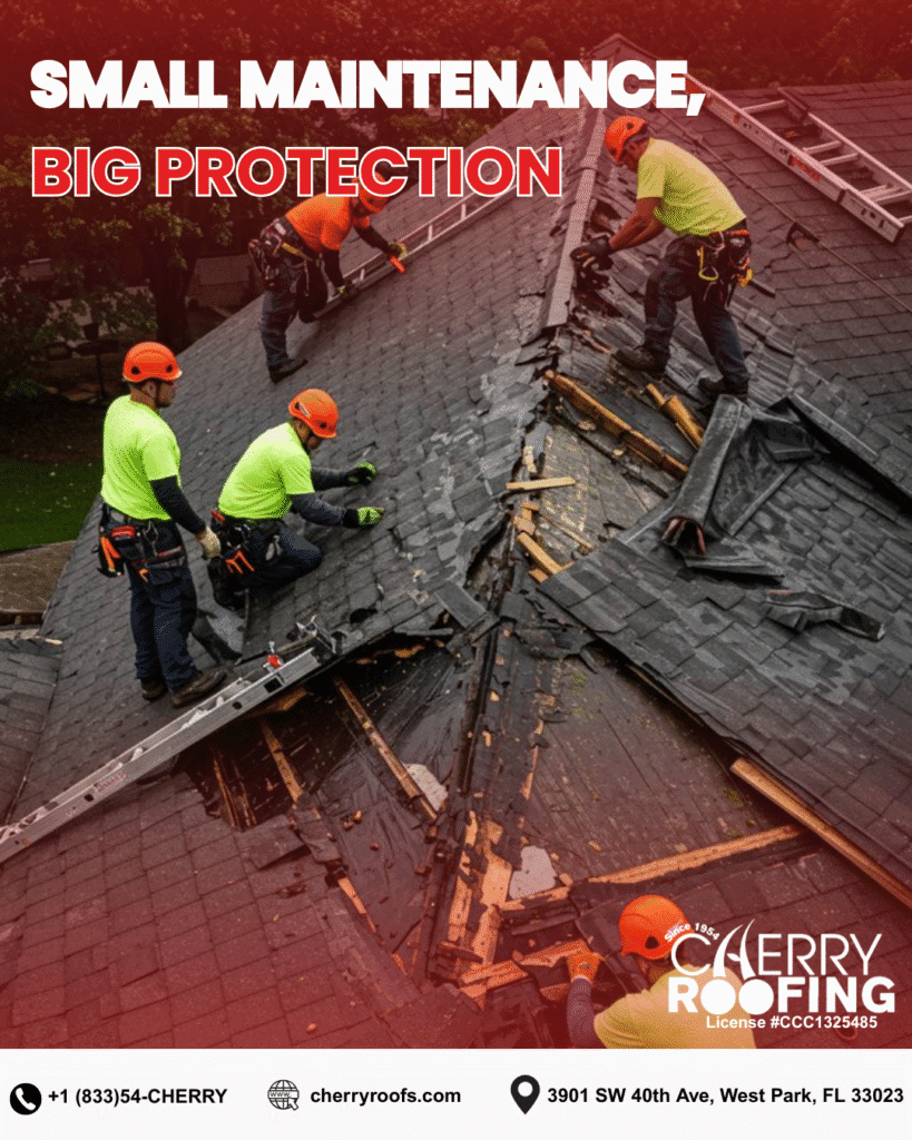 roof maintenance Florida