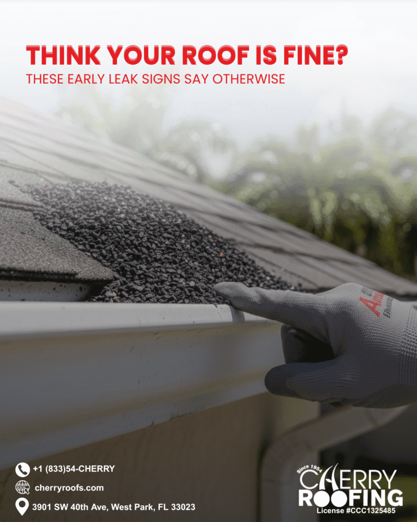 early roof leak signs