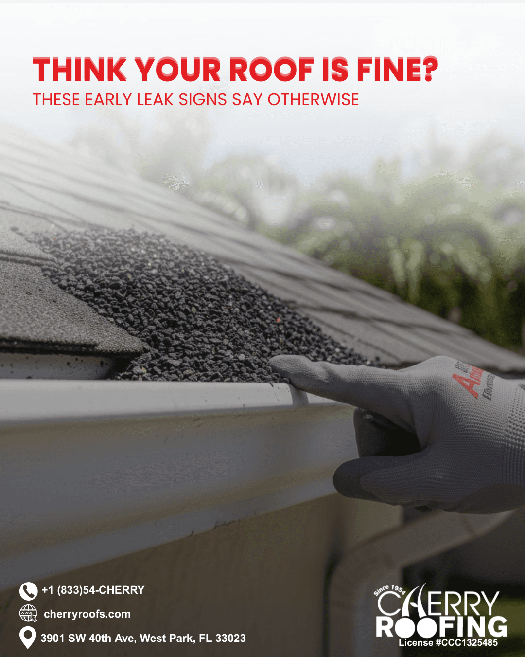 early roof leak signs