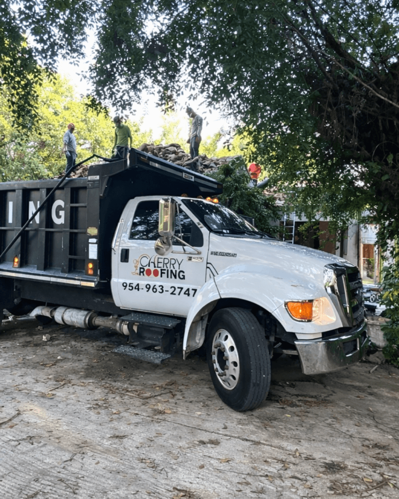 Professional Roofing Services