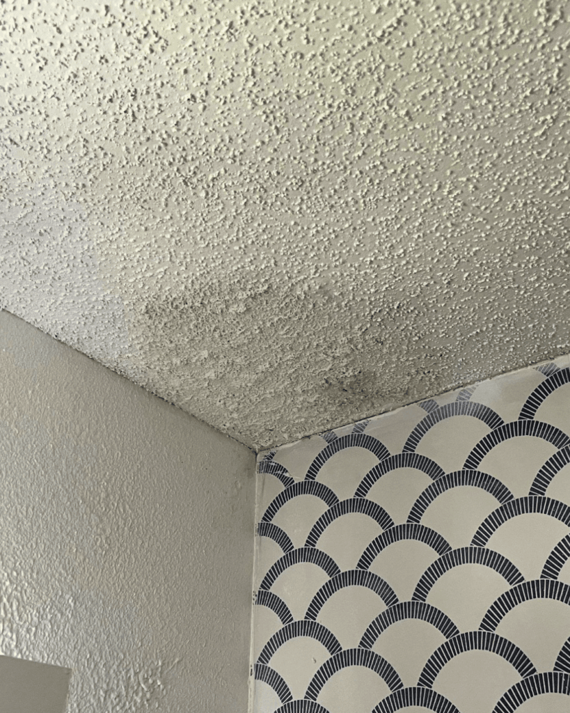 ceiling water damage from roof leak Florida home