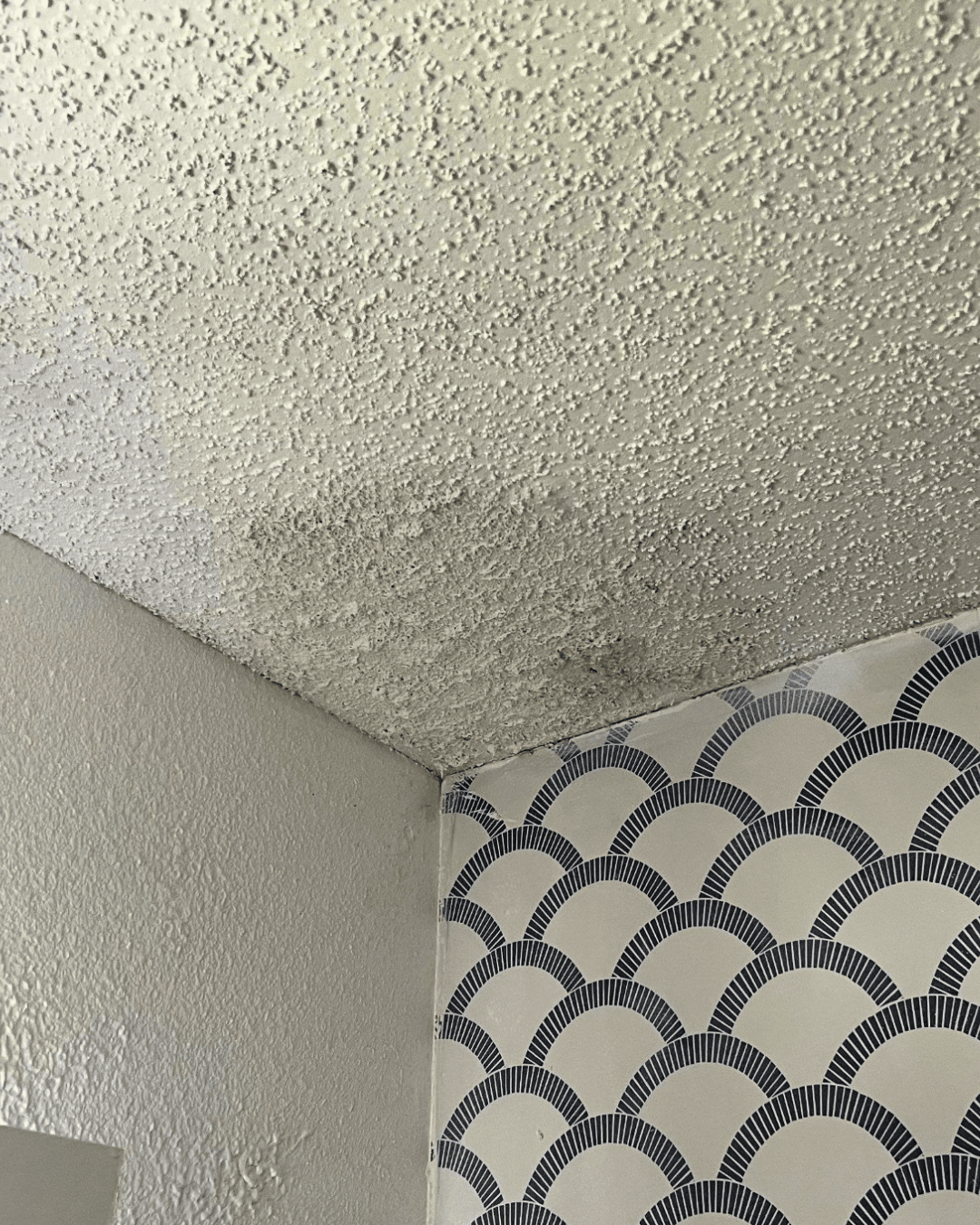 ceiling water damage from roof leak Florida home